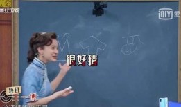 娱乐圈的吃瓜er群众,揭秘明星背后的故事与真相